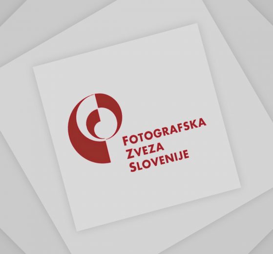 Ni slike