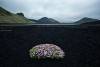 13-flatland_0300068-web